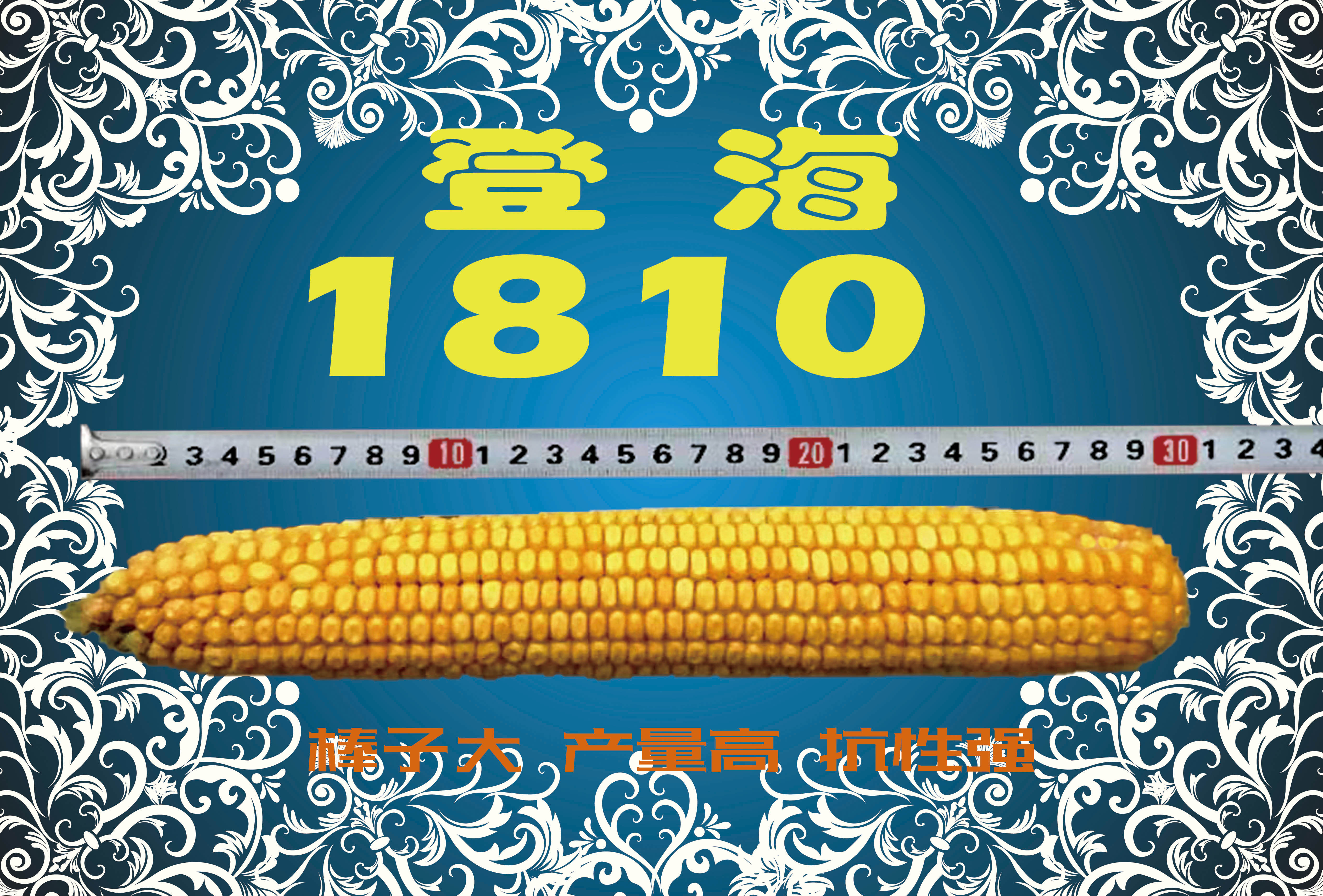  登海潤農(nóng)